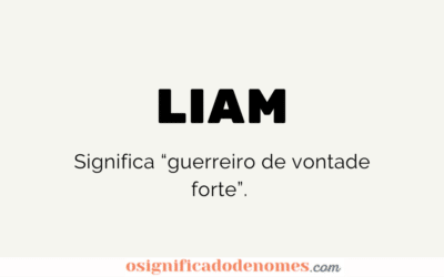 Significado de Liam