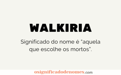 Meaning of Walkiria